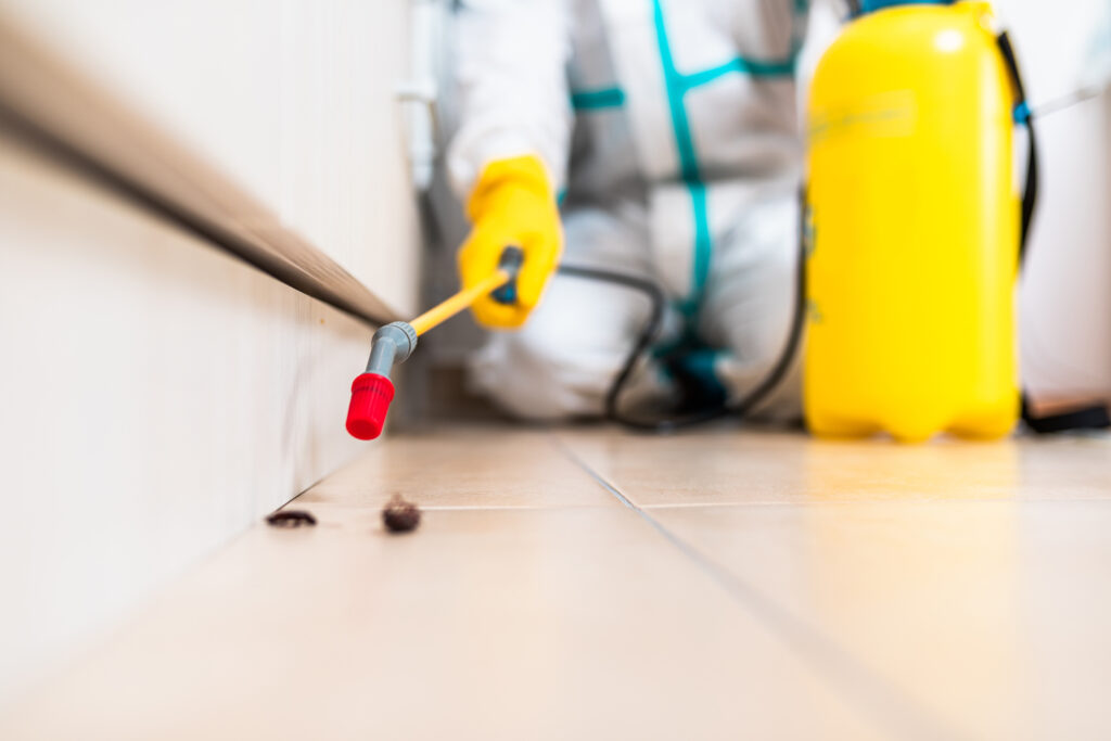 Palm Bay Ant Control
